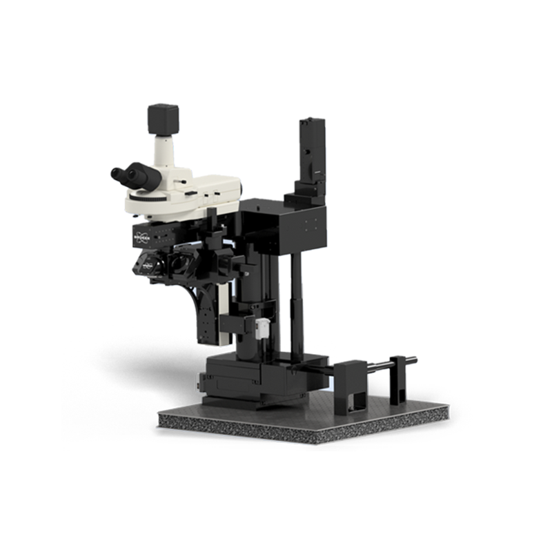 Ultima多光子顯微鏡系統(tǒng) Ultima多光子顯微鏡系統(tǒng)