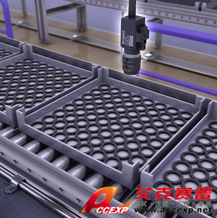 AccexpO形環(huán)上的毛刺、瑕疵檢測解決方案 圖片